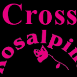 Cross_Pizzeria_Rosalpina